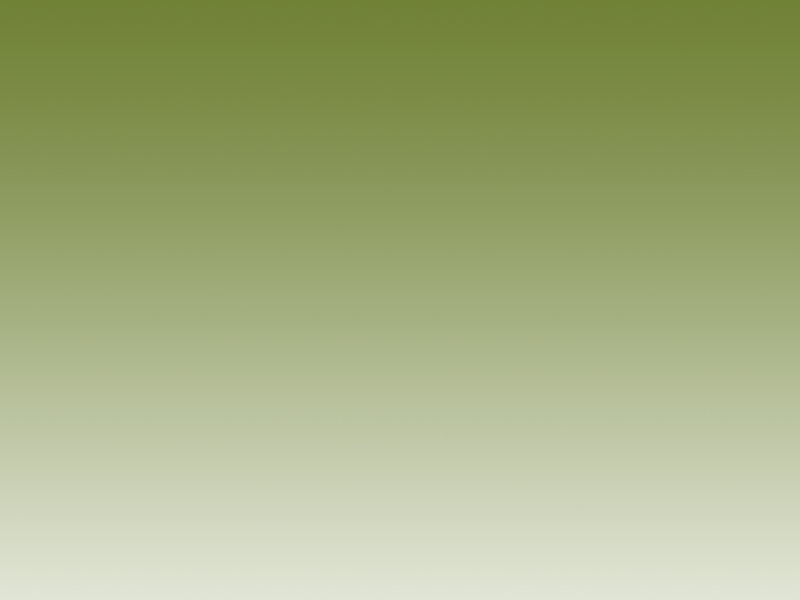 index2011017010.jpg