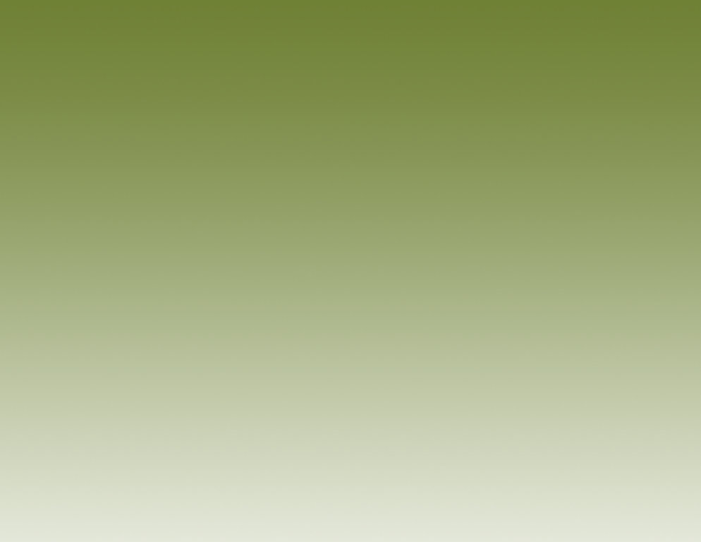index2011017011.jpg